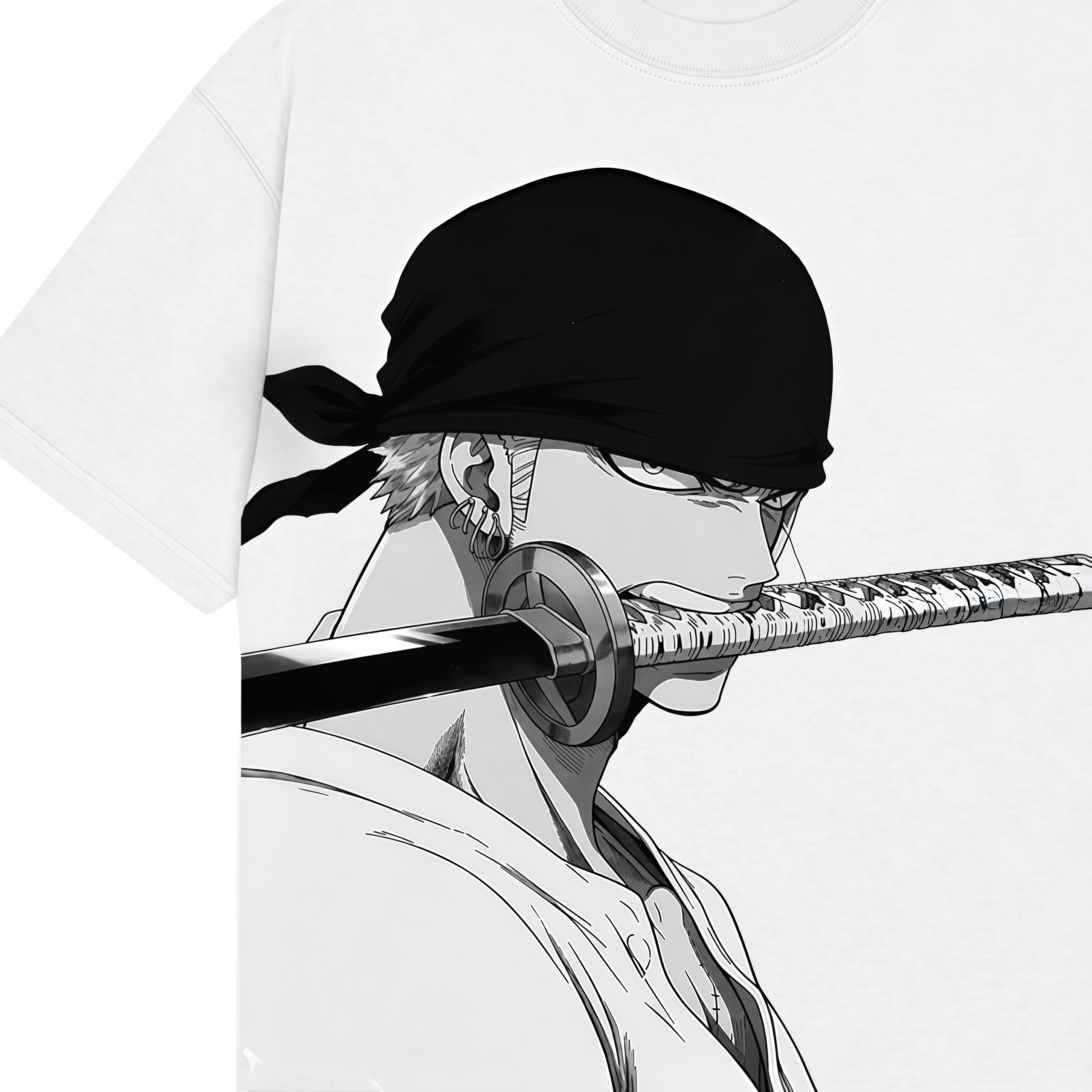 THE PIRATE HUNTER